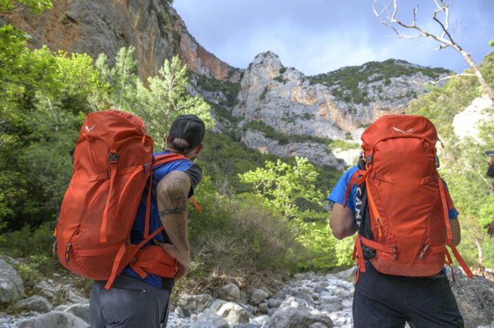 From Kalamata: Mount Taygetos Guided Hiking Day Trip - Key Points