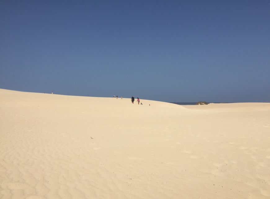 From Lanzarote: Fuerteventura Day Trip - Key Points