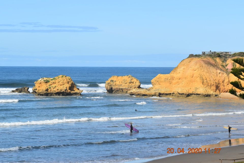 From Melbourne: Great Ocean Road Private Guided Tour by Car - Key Points