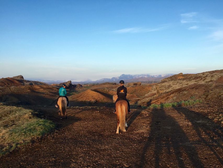 From Reykjavik: Evening Horseback Tour With Transfer - Key Points