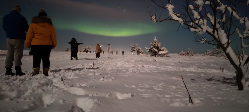 From Reykjavik: Northern Lights Tour - Key Points