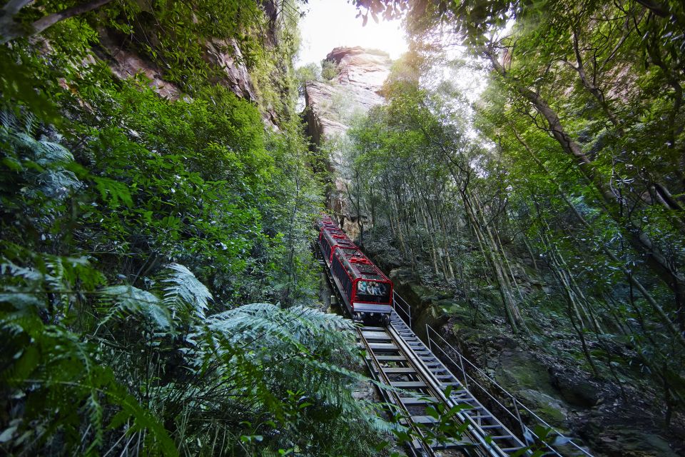 From Sydney: Blue Mountains, Scenic World All Inclusive Tour - Booking Policies and Benefits