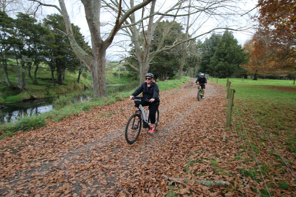 Full Day Ebike Tour - Karangahake Gorge NZ - Key Points