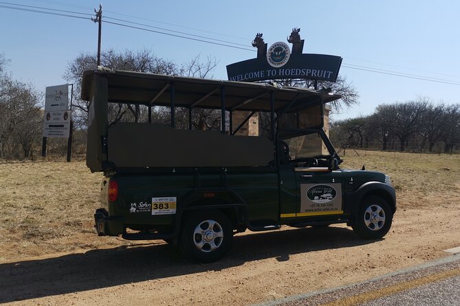 Full Day in Central Kruger National Park With Open Safari Vehicle - Key Points