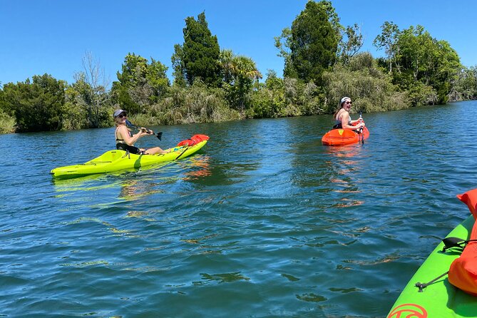 Full Day Single Kayak Rental In Crystal River - Key Points