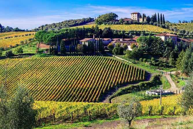 Full Day Wine Tour in Chianti From Florence or Siena - Key Points
