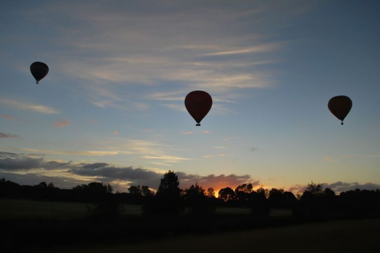 Gold Coast: Australian Sunrise 1-Hour Hot Air Balloon Flight