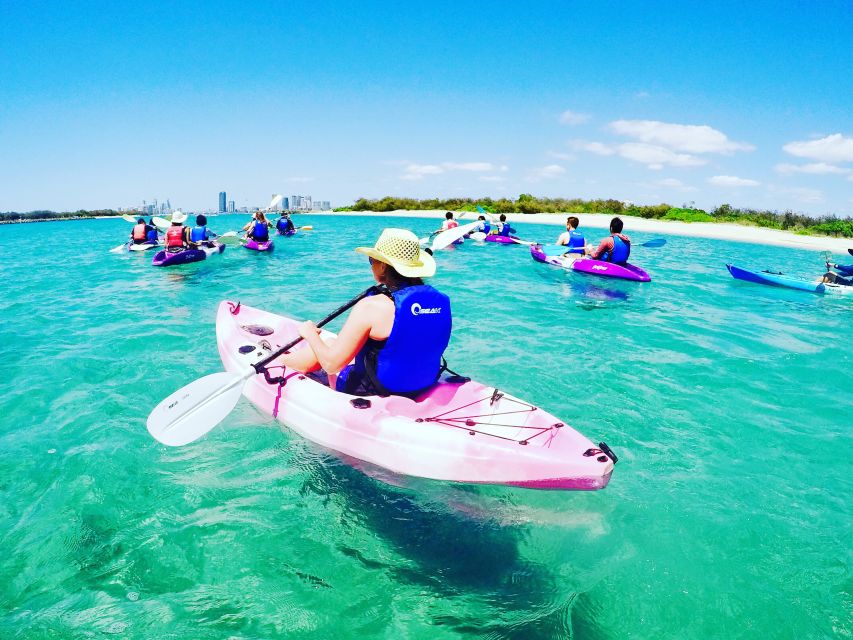 Gold Coast: Kayaking and Snorkeling Guided Tour - Key Points
