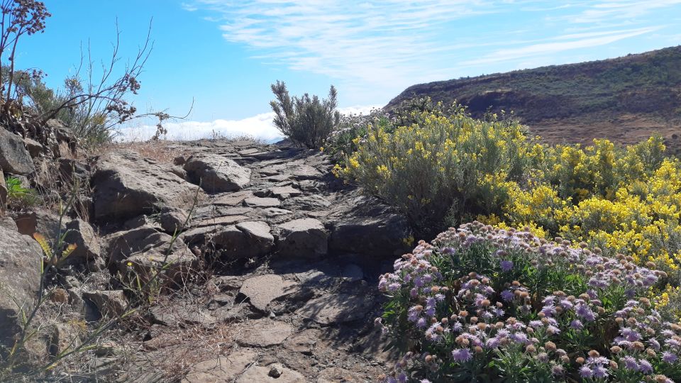 Gran Canaria: Full-Day Guided Hiking With Snacks - Key Points