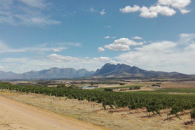 Greatest Private Tours of the Cape Winelands - Key Points