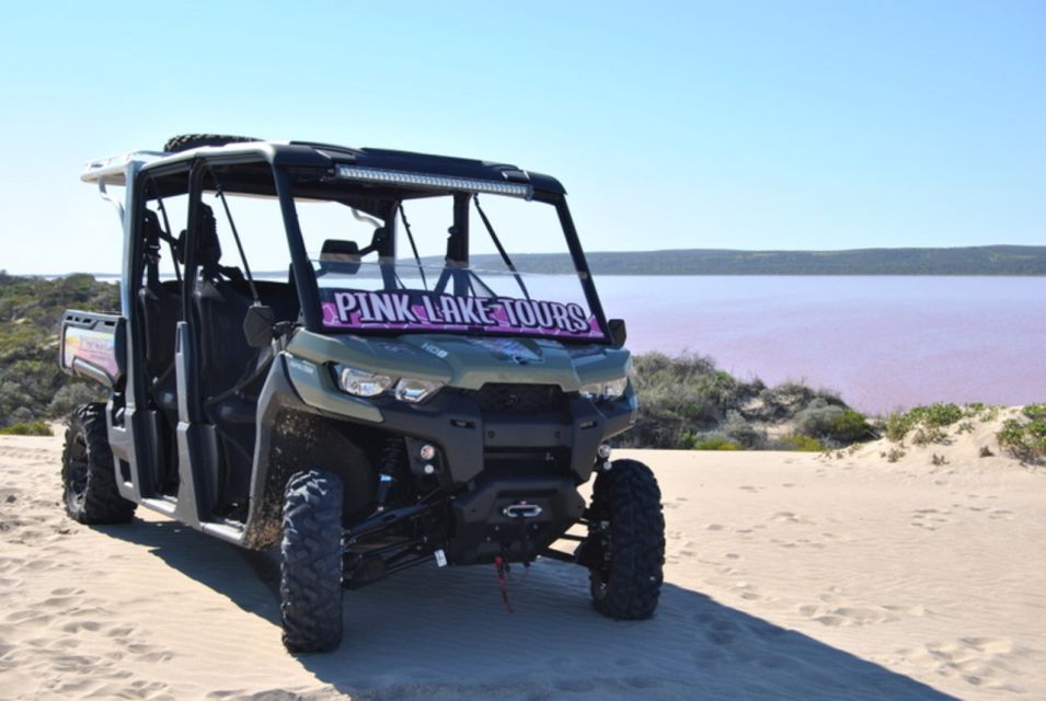 Gregory: Pink Lake Buggy Tour - Key Points
