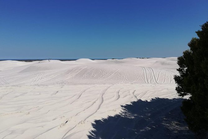 Guided Hiking and Environmental Education: Atlantis Sand Dunes - Key Points