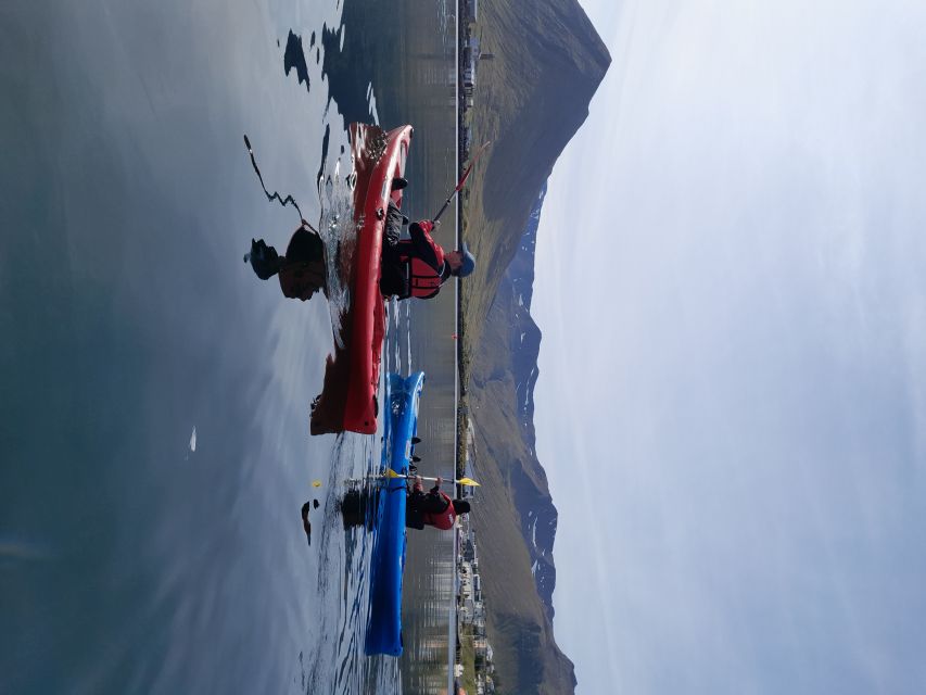 Guided Kayak Tour in Siglufjörður / Siglufjordur. - Key Points