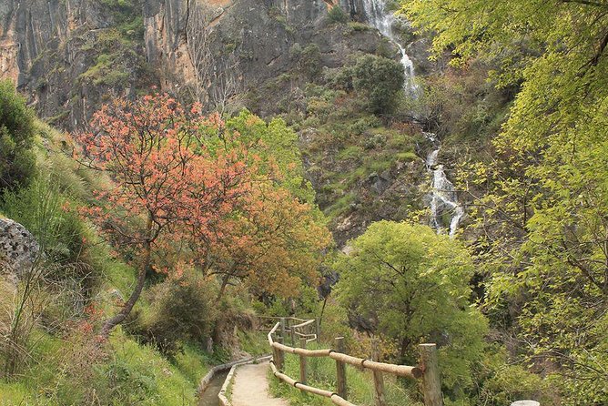 Guided Tour: Hanging Bridges Los Cahorros (S.N.)