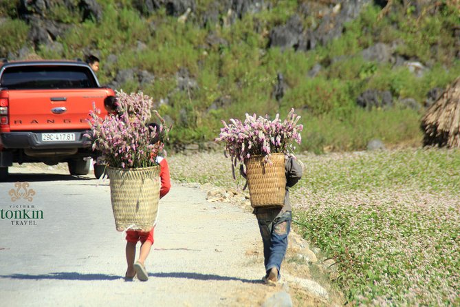 Ha Giang Private 3-Day Tour With Homestay Accommodation  - Hanoi - Tour Overview