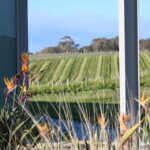 half day wine and sights discovery tour busselton Half Day Wine and Sights Discovery Tour Busselton