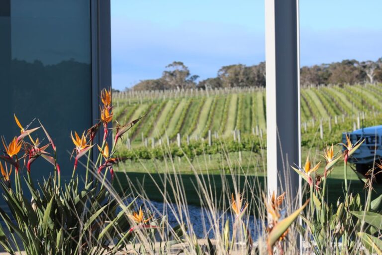 Half Day Wine and Sights Discovery Tour Busselton