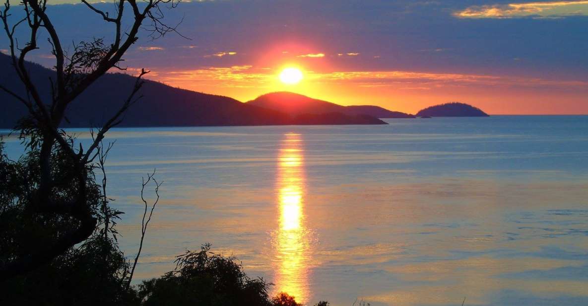 Hamilton Island: Whitsundays Sunset BBQ Dinner Cruise - Key Points