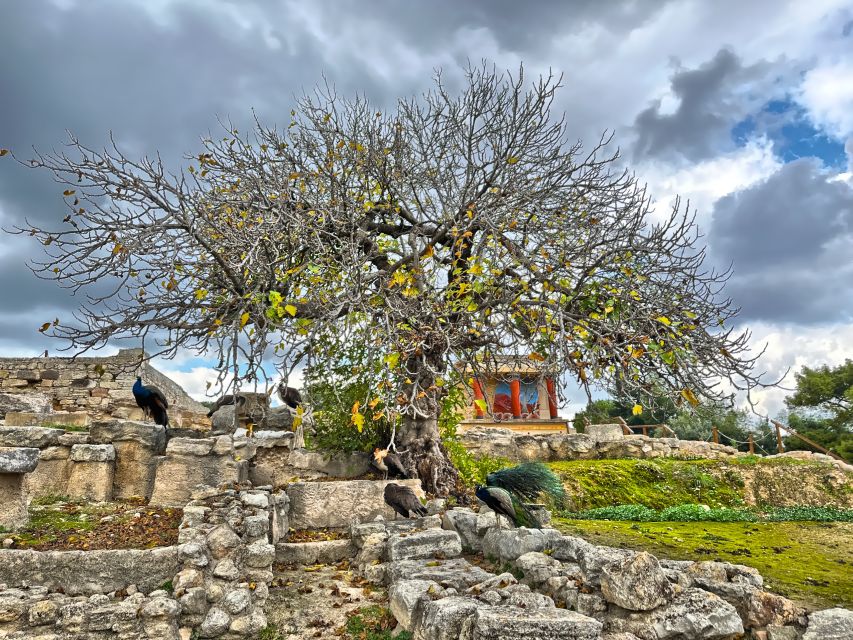 Heraklion: Archeological Museum of Heraklion Entrance & Tour