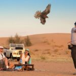 heritage falconry wildlife safari private sharing Heritage Falconry & Wildlife Safari Private & Sharing