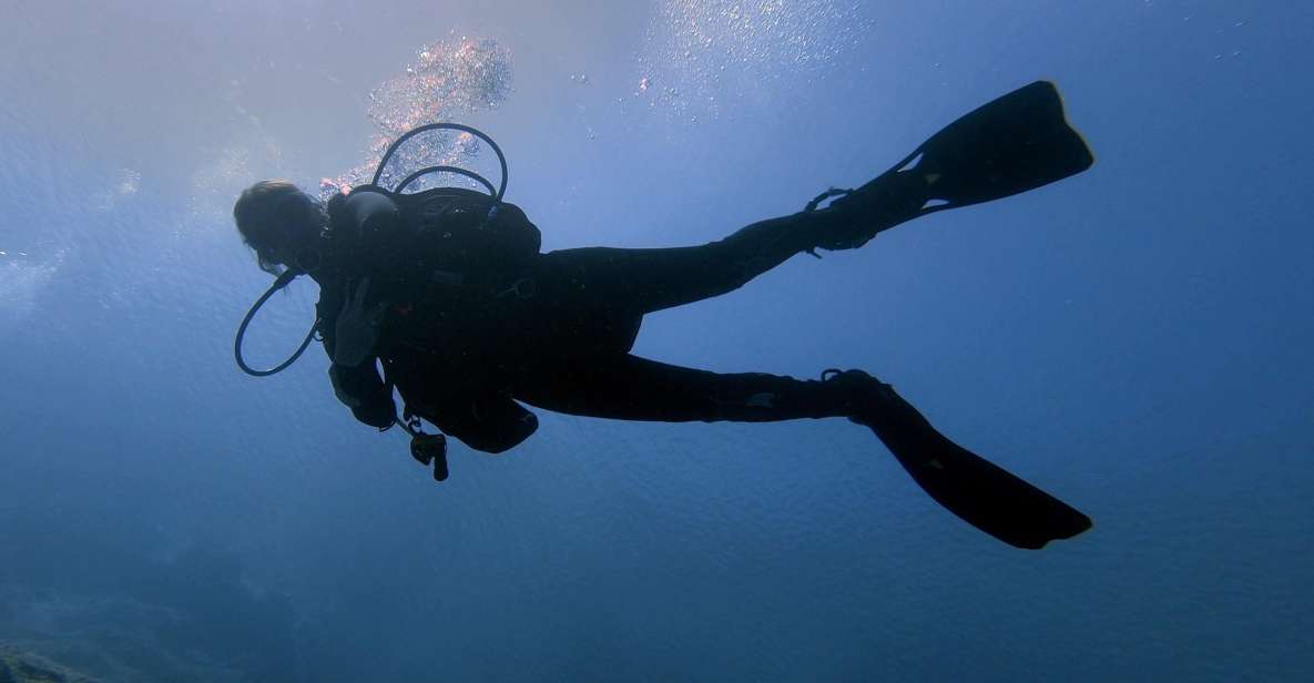 Hersonissos, Stalida: Beginner Scuba Diving Experience - Experience Details