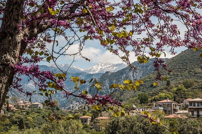 Hiking Around Kardamyli - Just The Basics