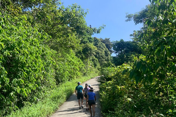 Hiking in Tropical Forest of Son Tra - 3hours Version - Traveler Reviews and Ratings