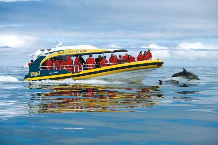 Hobart: Bruny Island Wilderness Coast Eco Cruise With Lunch - Key Points