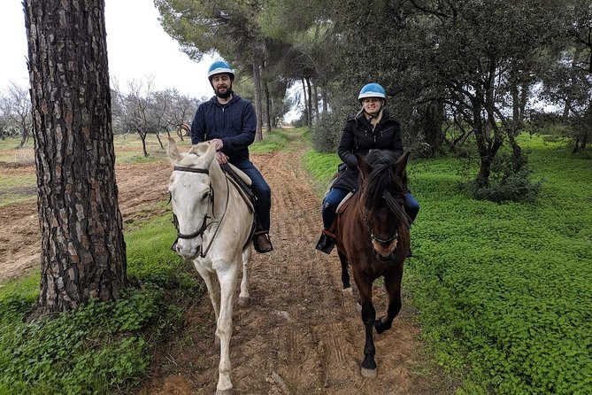 Horseback Riding Exclusive for Couples, in Parque Natural Doñana, Sevilla - Key Points