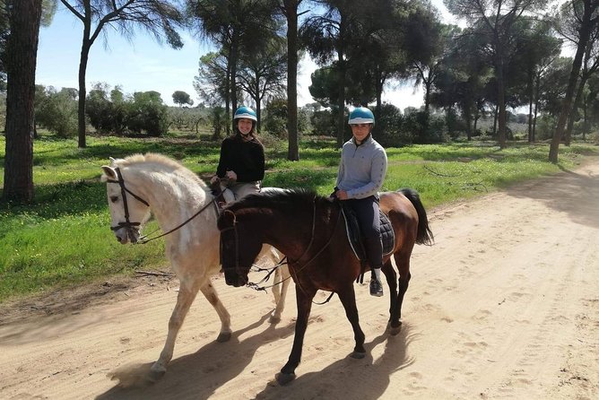 Horseback Riding in Parque Natural Doñana, Sevilla - Key Points