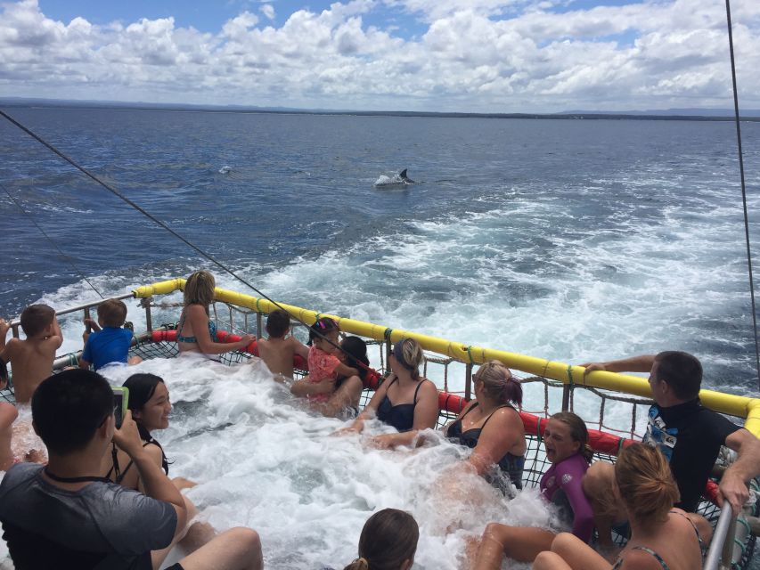 Huskisson: Dolphin Cruise & Boom Netting Experience - Key Points