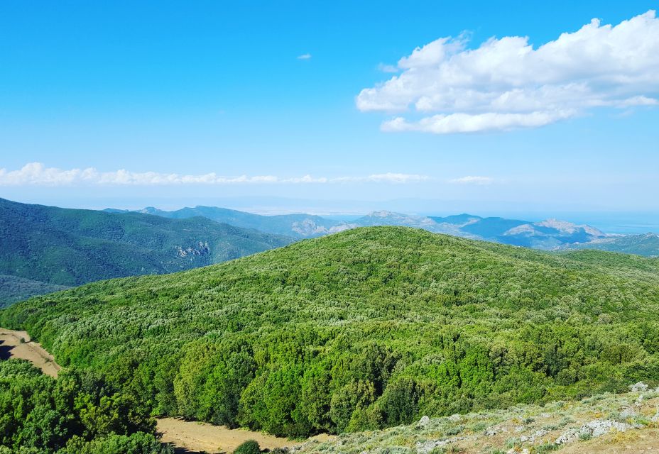 Is Cannoneris Nature Reserve Walking and Jeep Private Tour