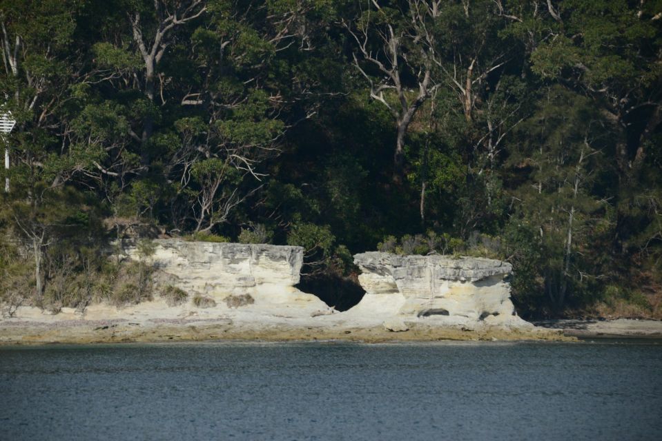 Jervis Bay: 2-Hour Cruise of Jervis Bay Passage - Key Points
