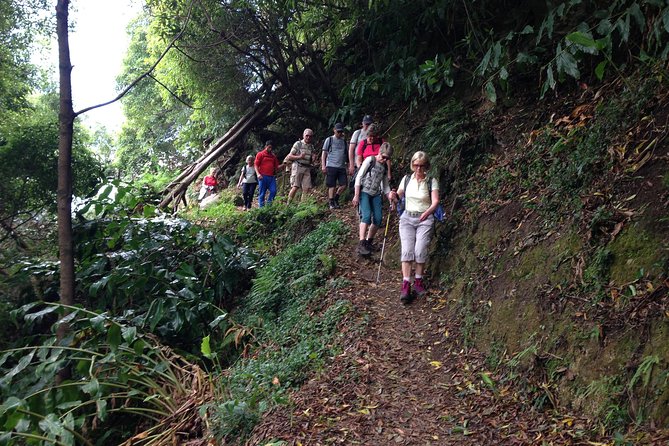 Join Us to the Amazing Walk Sanguinho and Its Forest - Key Points