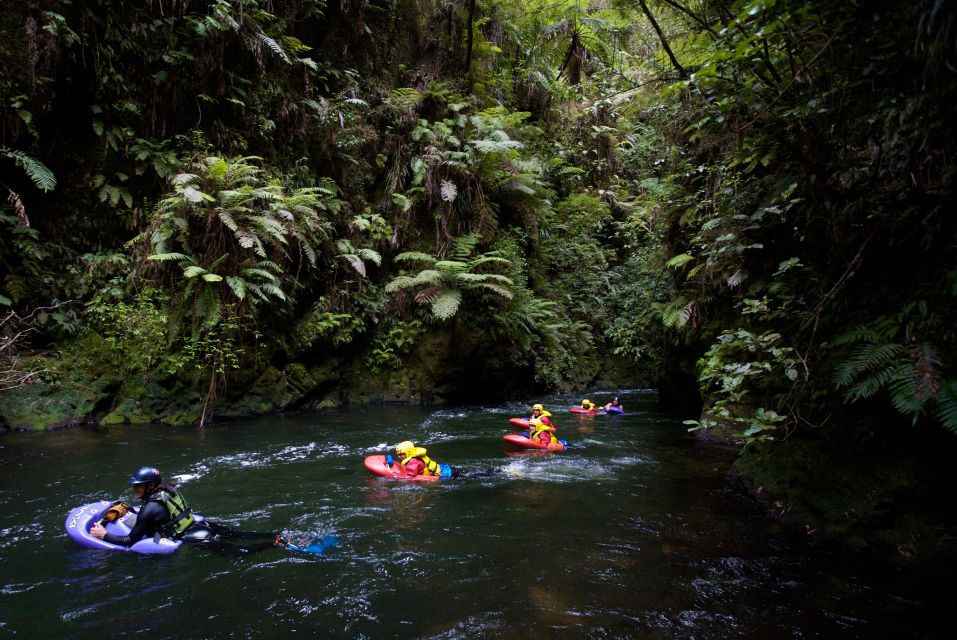 Kaituna River: 3.5-Hour White Water Sledging Experience - Key Points