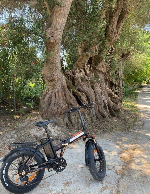 Kefalonia Farm Tour on E-Bikes - Tour Details