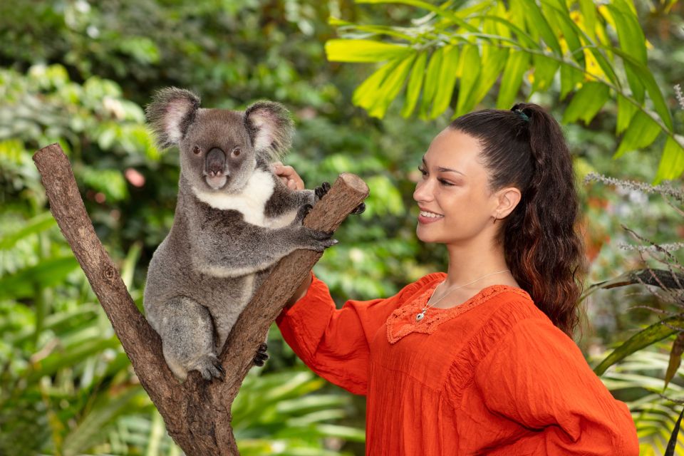 Kuranda: Friends in the Rainforest Koala Gardens & Birdworld - Key Points
