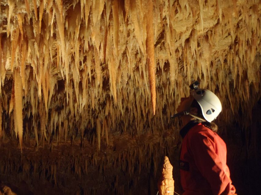 La Ciotat: Caving in Calanques National Park Half-Day Tour - Tour Details