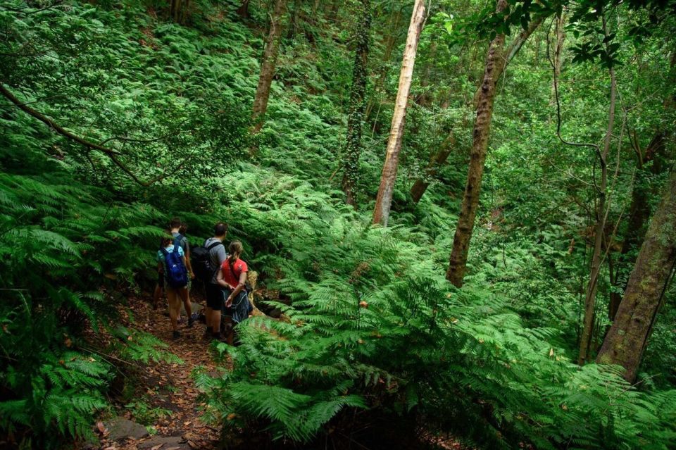 La Palma: Cubo De La Galga (Trekking Tour) - Key Points