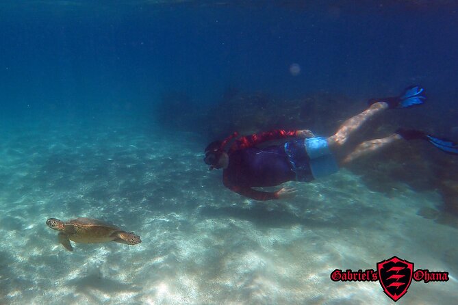 Lahaina Olowalu Beach Small-Group Kayaking Snorkeling Tour  - Maui - Key Points