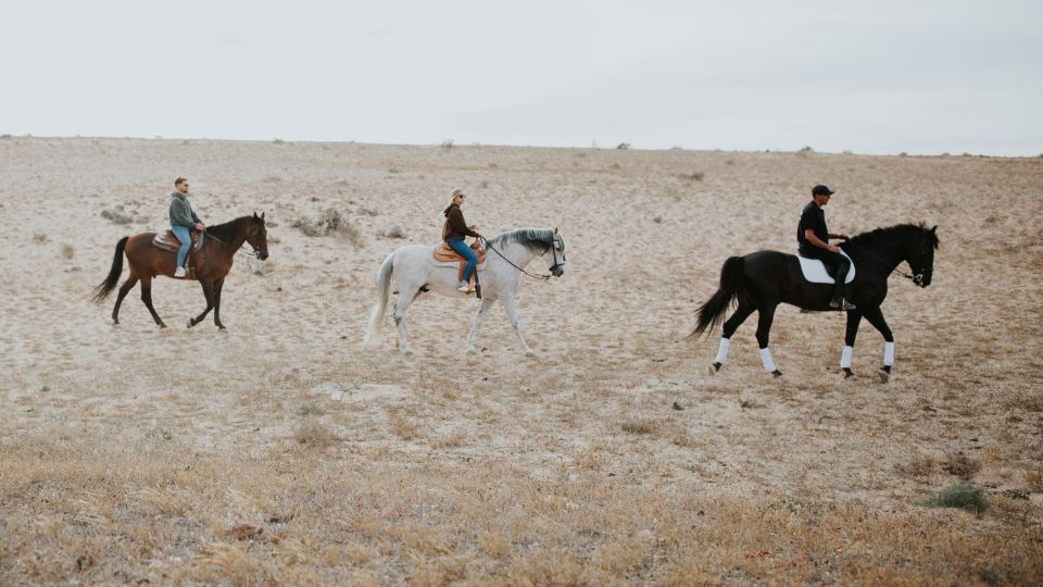 Lanzarote: Private Horseback Riding Tour - Key Points