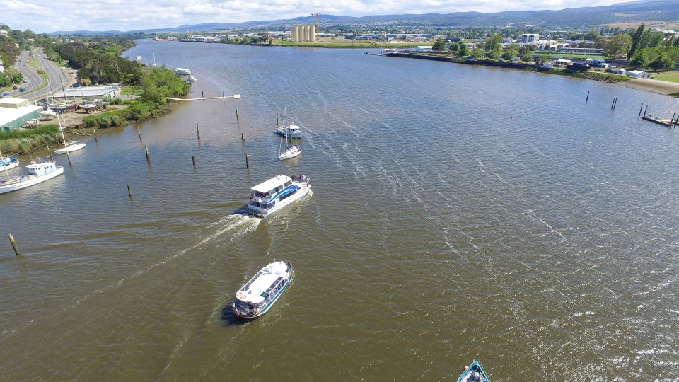 Launceston: 2.5-Hour Morning or Afternoon Discovery Cruise - Key Points