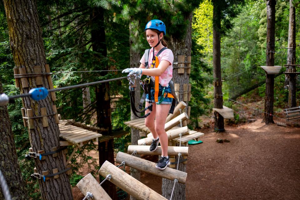 Launceston: Hollybank Tree Ropes Course - Key Points