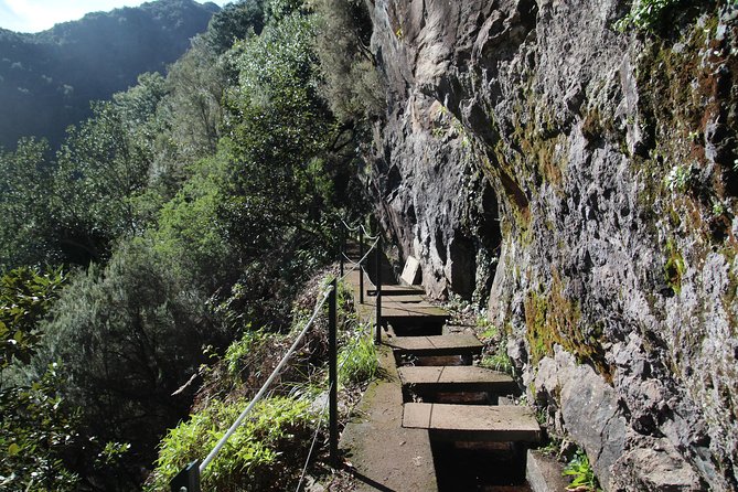 Levada Do Rei - Ribeiro Bonito (Full Day Walk) - Key Points