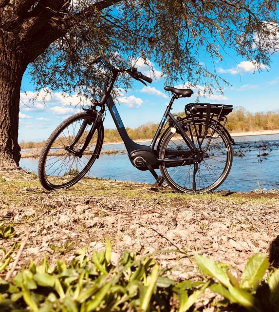 Loire Castles With Electric Bicycle - Key Points