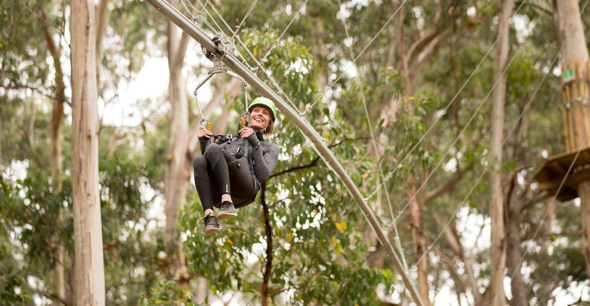 Lorne: Live Wire Park Ticket With Zip Line Rollercoaster - Key Points
