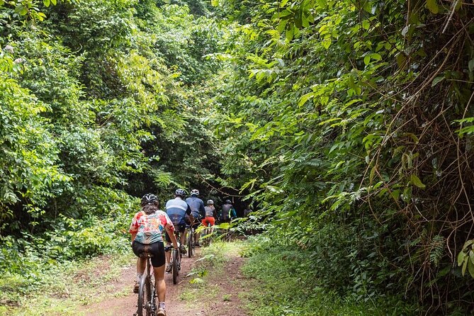 Ma Da Jungle Cycling Adventure - Key Points