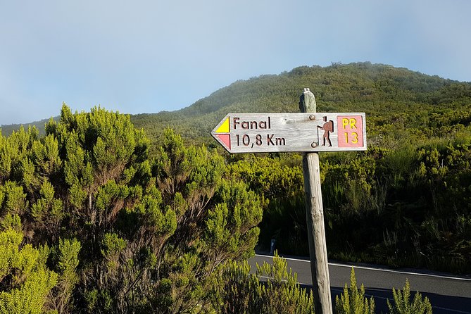 Madeira: Private Guided Walk Vereda Fanal PR13 - Key Points