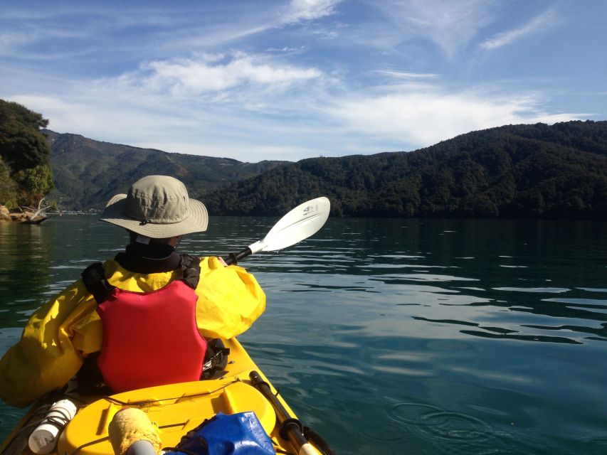 Marlborough Sounds: Full-Day Guided Kayak Tour With Lunch - Key Points