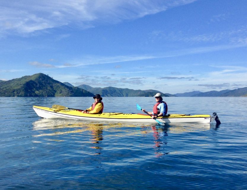 Marlborough Sounds Guided Kayak and Freedom Walk Tour - Key Points